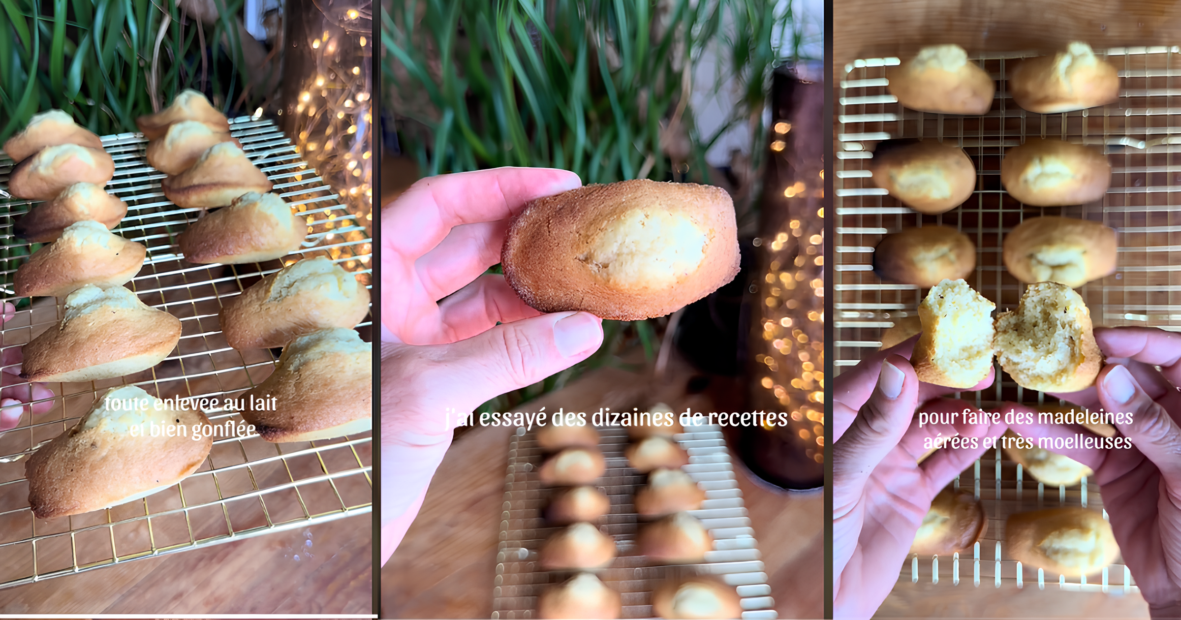 Madeleines sans Sucre et Sans Gluten