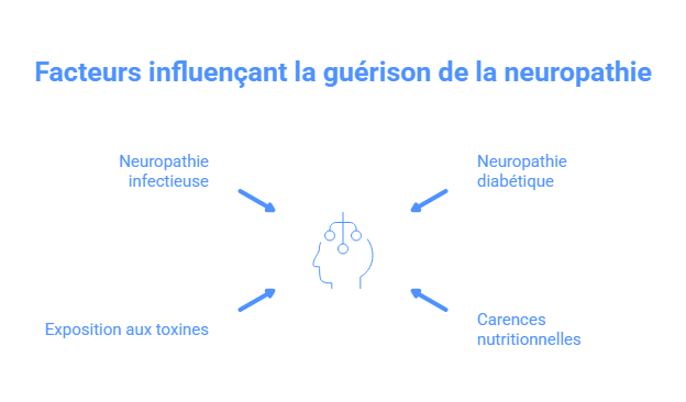 Facteurs influençant la guérison de la neuropathie